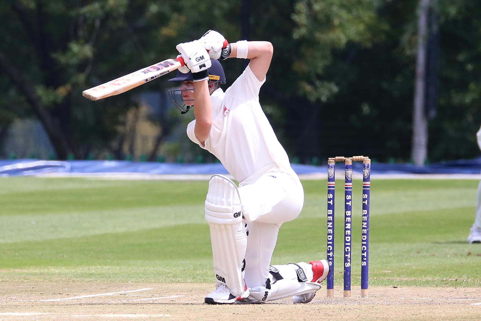 Cricket action